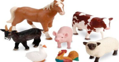 Farm Animals