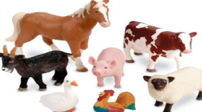 Farm Animals