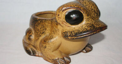 Pot Frog