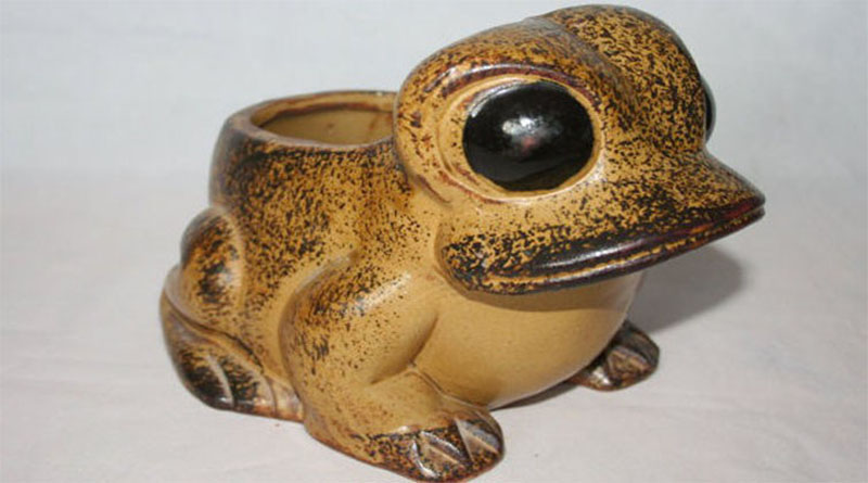 Pot Frog
